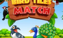 Bird Tiles Match