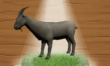 Simulador de Cabra Irritada 3D