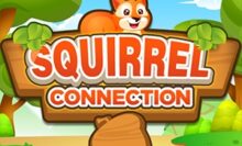 Squirrel Connection